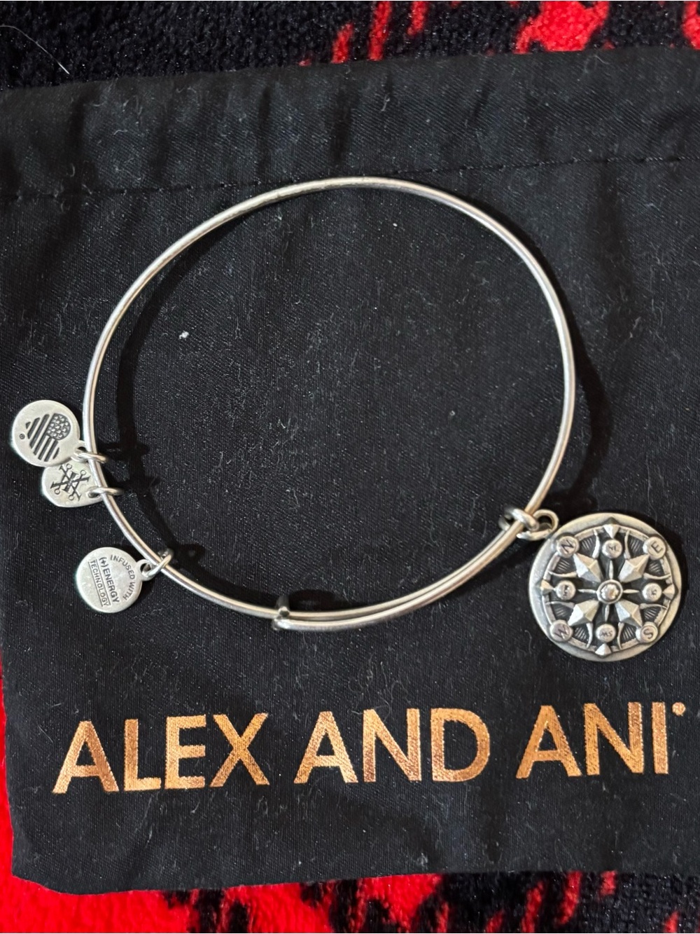 Alex and Ani Silver Compass
